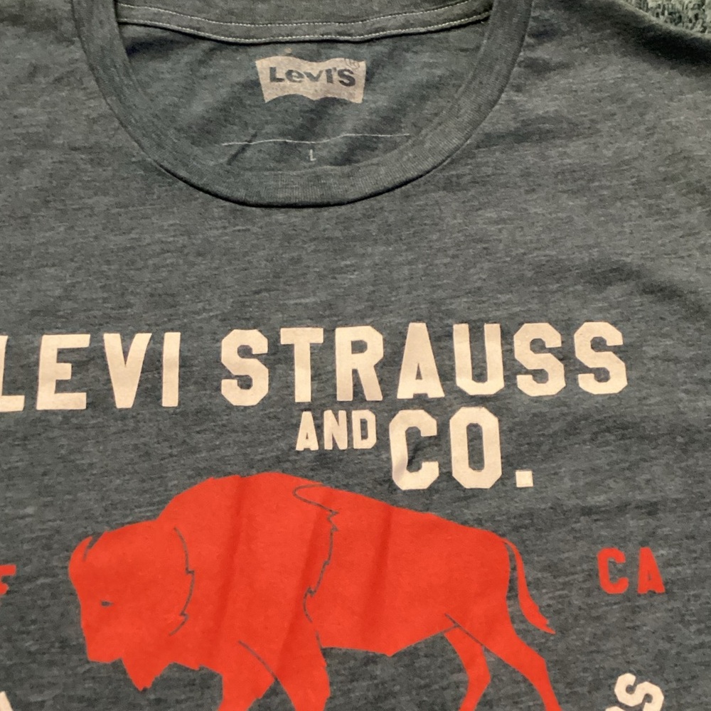 Levi's Kids Charcoal Tee with Red Buffalo Graphic